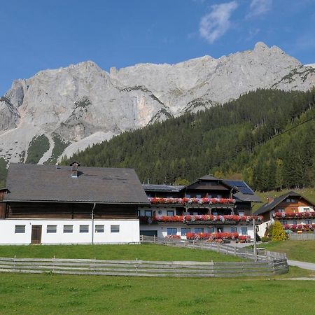 람자우 암 다흐스타인 Feichtlehnerhof B&B 외부 사진