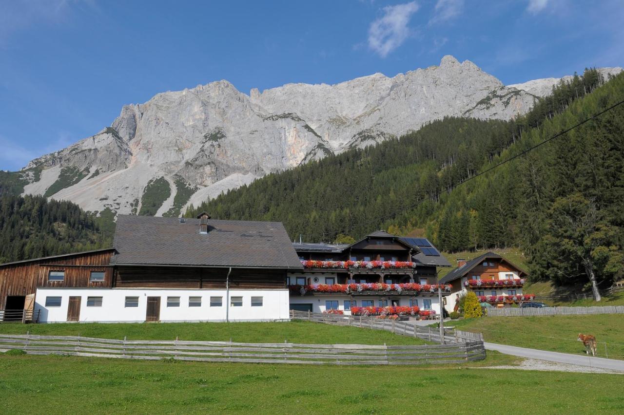 람자우 암 다흐스타인 Feichtlehnerhof B&B 외부 사진