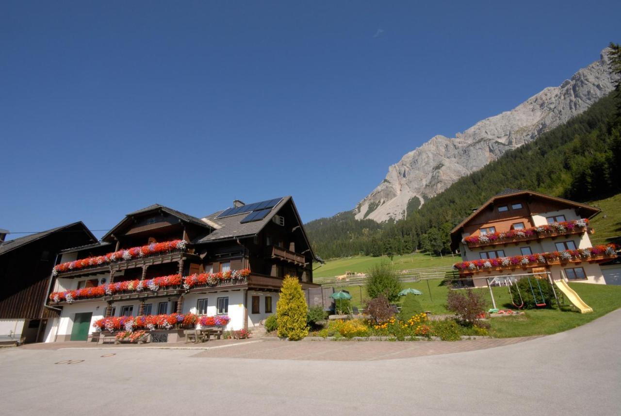 람자우 암 다흐스타인 Feichtlehnerhof B&B 외부 사진